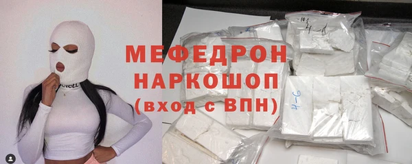 гашик Няндома
