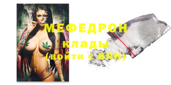 гашик Няндома