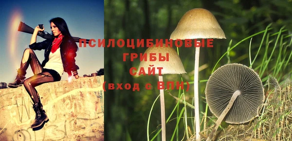 соль курить ск Нязепетровск