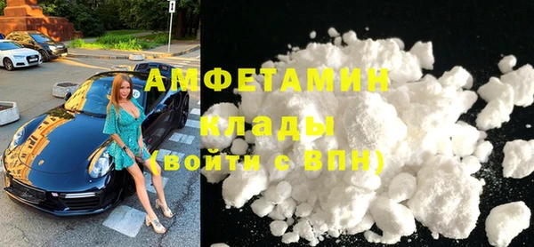 гашик Няндома