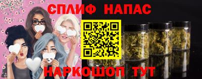 дмт Можайск
