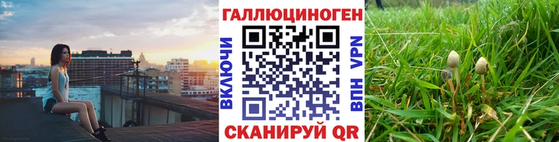 darknet клад  Североморск  Псилоцибиновые грибы Psilocybine cubensis  продажа наркотиков 