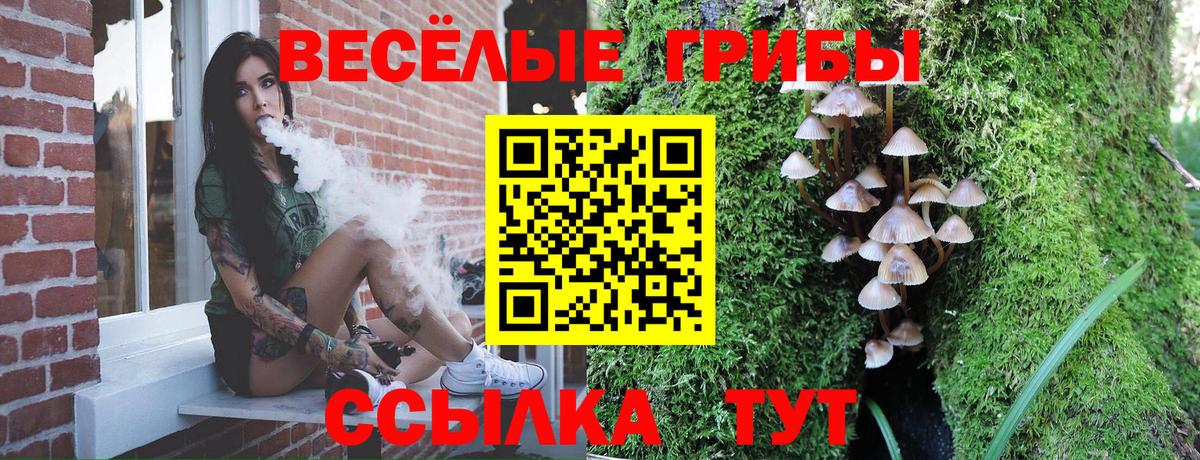 Североморск  Псилоцибиновые грибы прущие грибы  Вход с VPN  Галлюциногенные грибы Psilocybine cubensis 