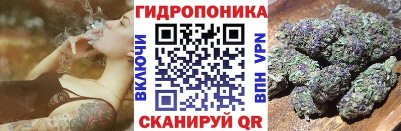 Конопля семена Североморск
